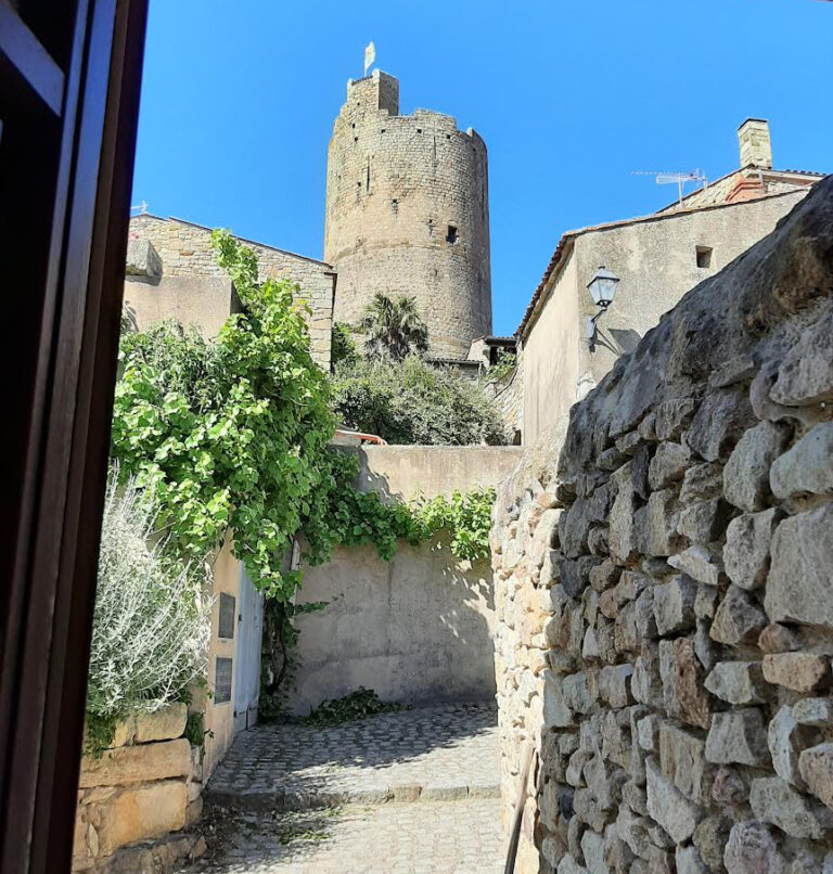 gite mont2roux1 768x806