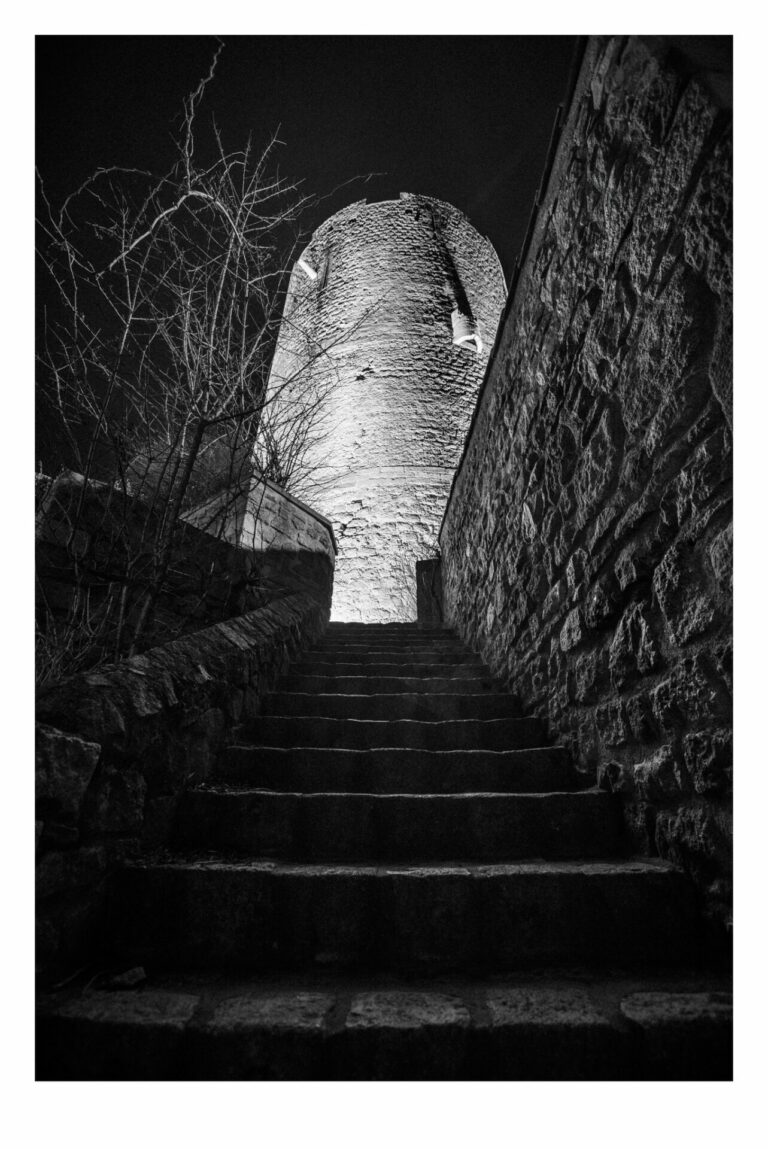 heydel 4905536191586014615 n 768x1149