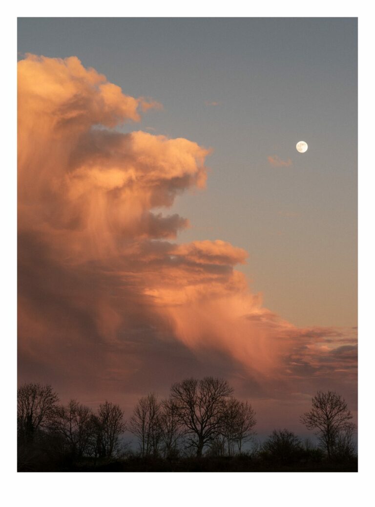 heydel 7376572492985380783 n 768x1037