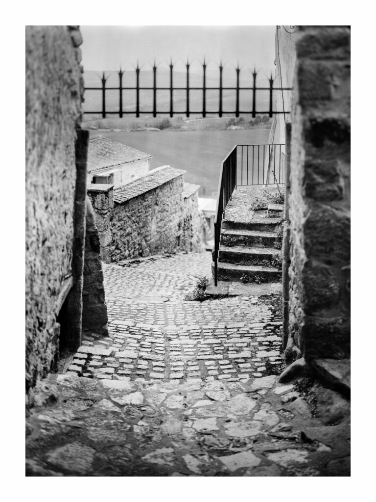 heydel 8417143885480616992 n 768x1023